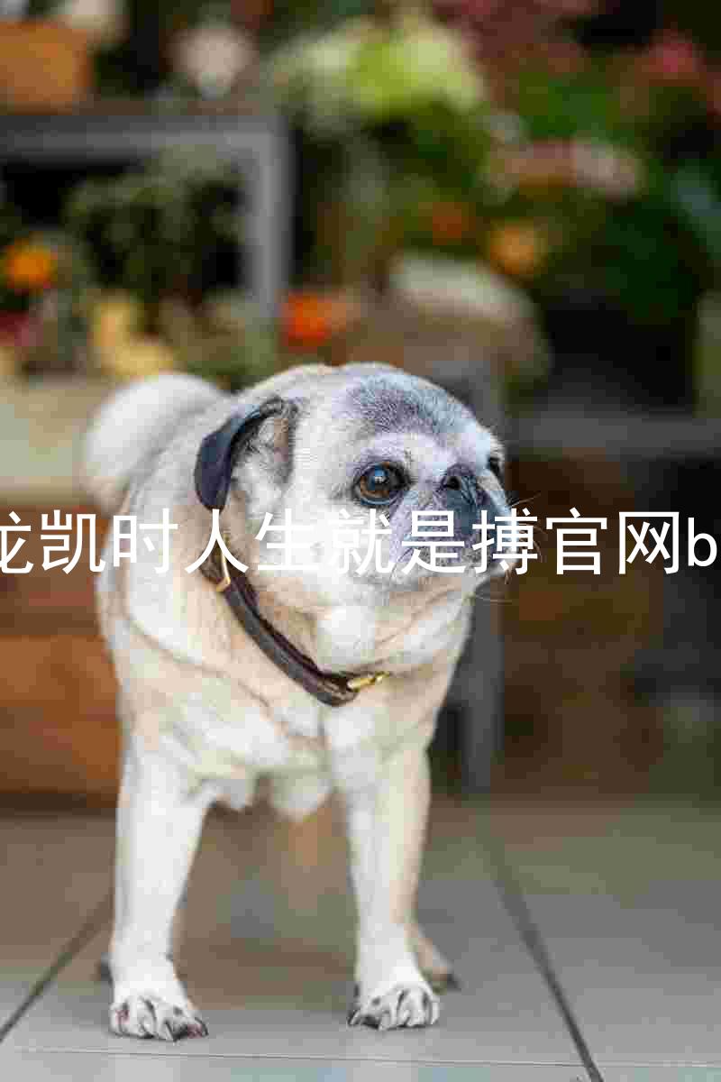 尊龙凯时人生就是搏官网bjl8