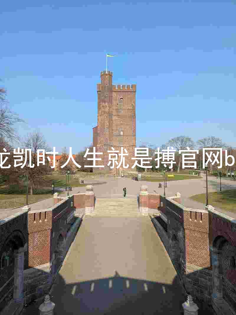 尊龙凯时人生就是搏官网bjl8