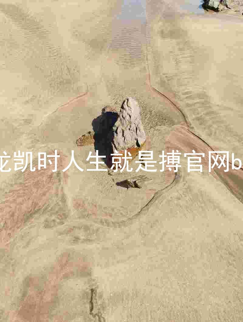 尊龙凯时人生就是搏官网bjl8