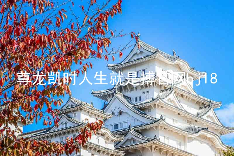 尊龙凯时人生就是搏官网bjl8