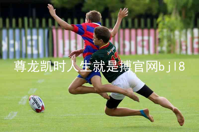 尊龙凯时人生就是搏官网bjl8