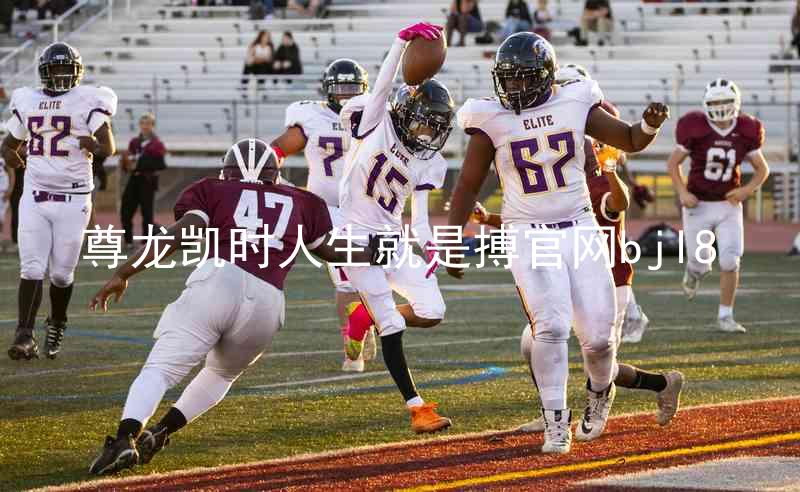 尊龙凯时人生就是搏官网bjl8